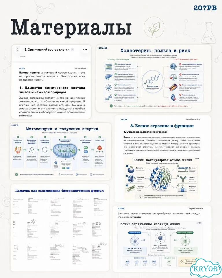 Летняя школа по химии и биологии фото 5