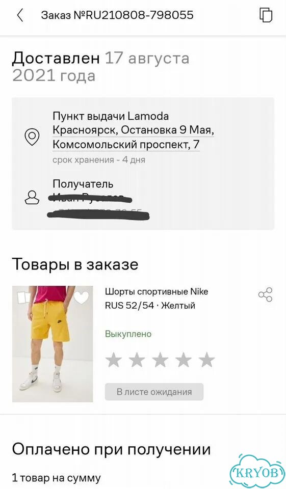 Костюм Худи Шорты Nike SB revival XL фото 2