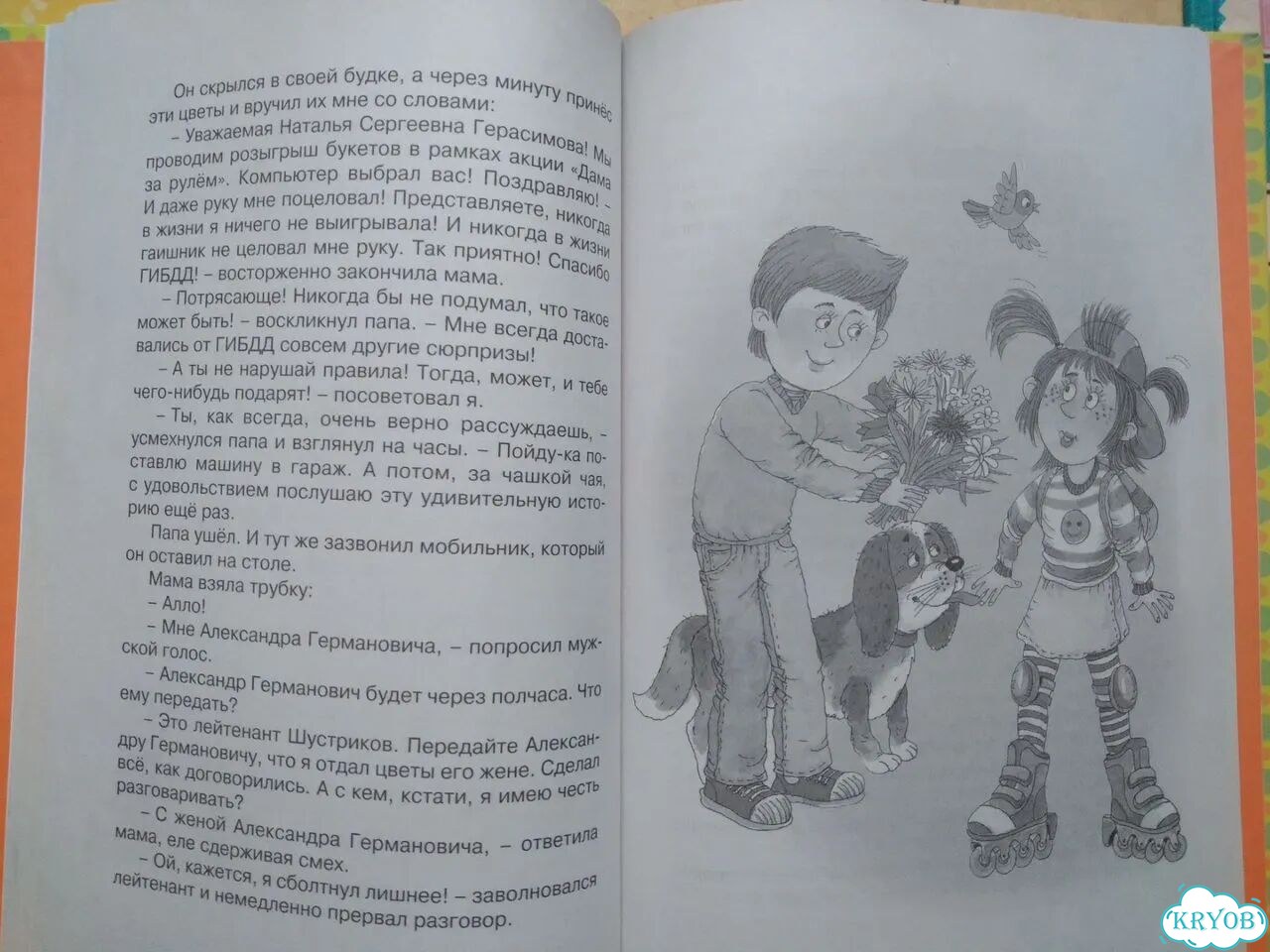 Детские книги пакетом (приключения,школа) фото 3