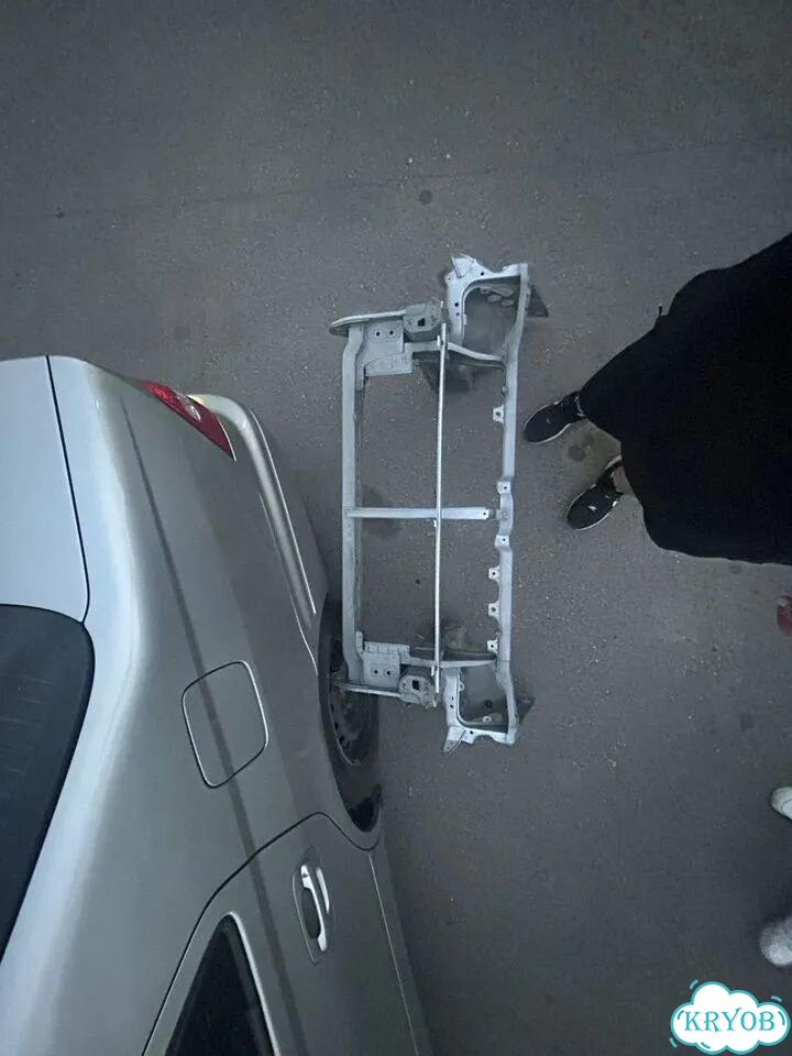 Ноускат-телевизор фото 3