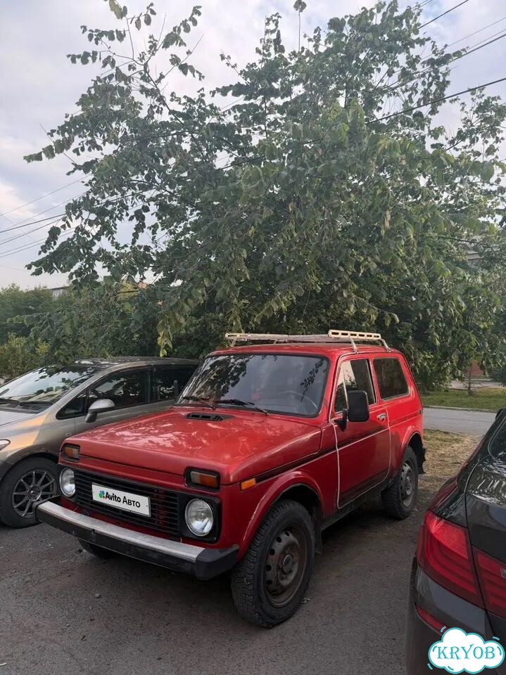ВАЗ (LADA) 4x4 (Нива) 1.7 MT, 1995, 100 000 км фото 1