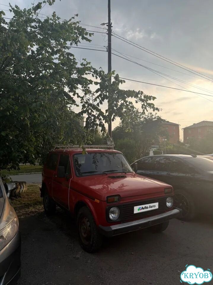 ВАЗ (LADA) 4x4 (Нива) 1.7 MT, 1995, 100 000 км фото 3