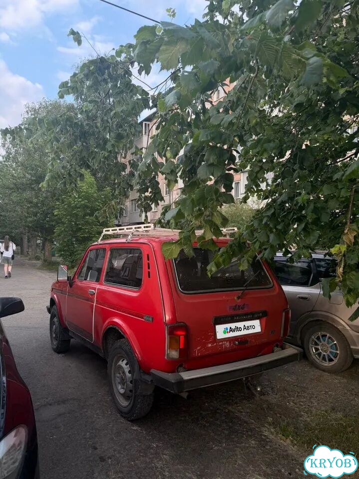 ВАЗ (LADA) 4x4 (Нива) 1.7 MT, 1995, 100 000 км фото 4
