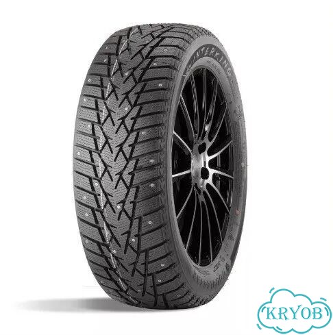 Doublestar DW01 205/55 R16 91T фото 2