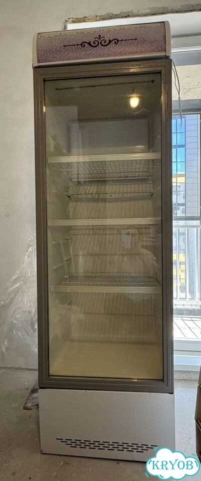 Холодильный шкаф Бирюса бу фото 1