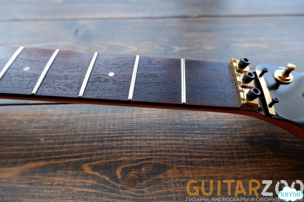 Электрогитара Fernandes FR-55X BLK фото 2