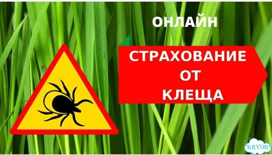 Страховка ОСАГО фото 4