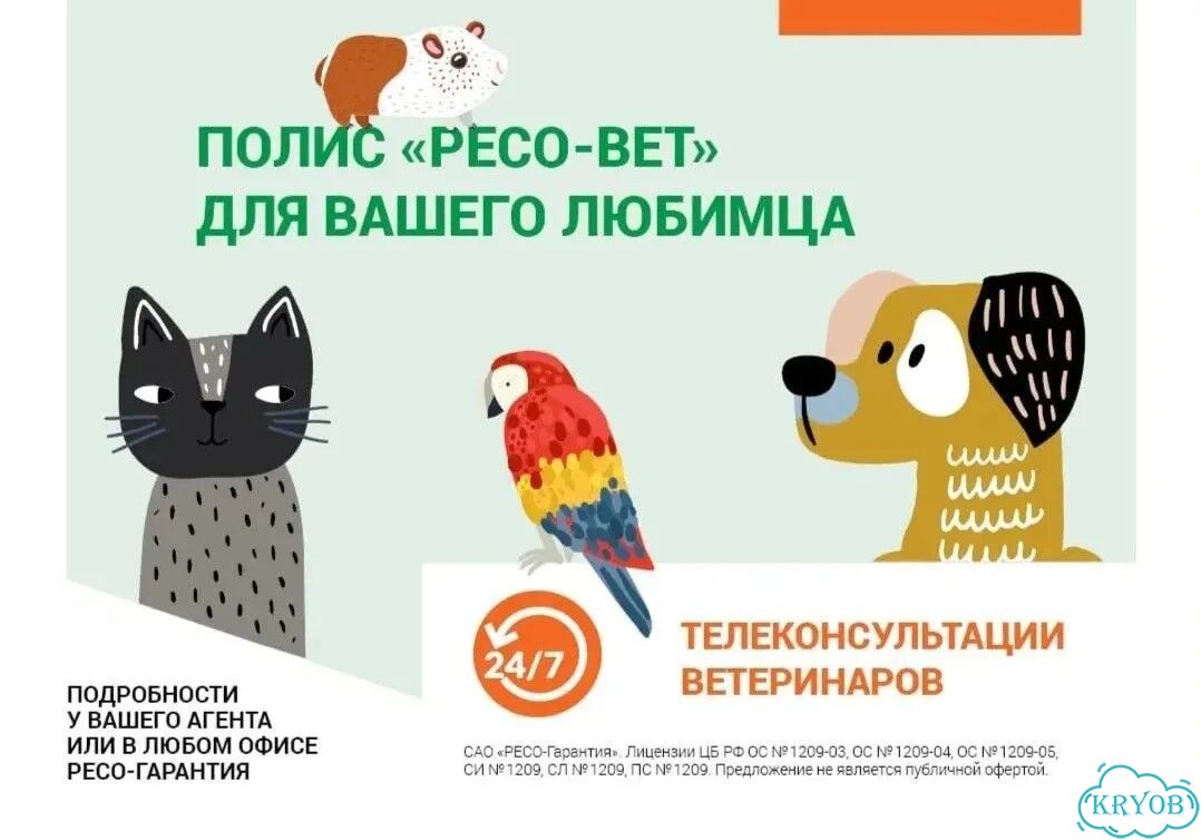 Страховка ОСАГО фото 9