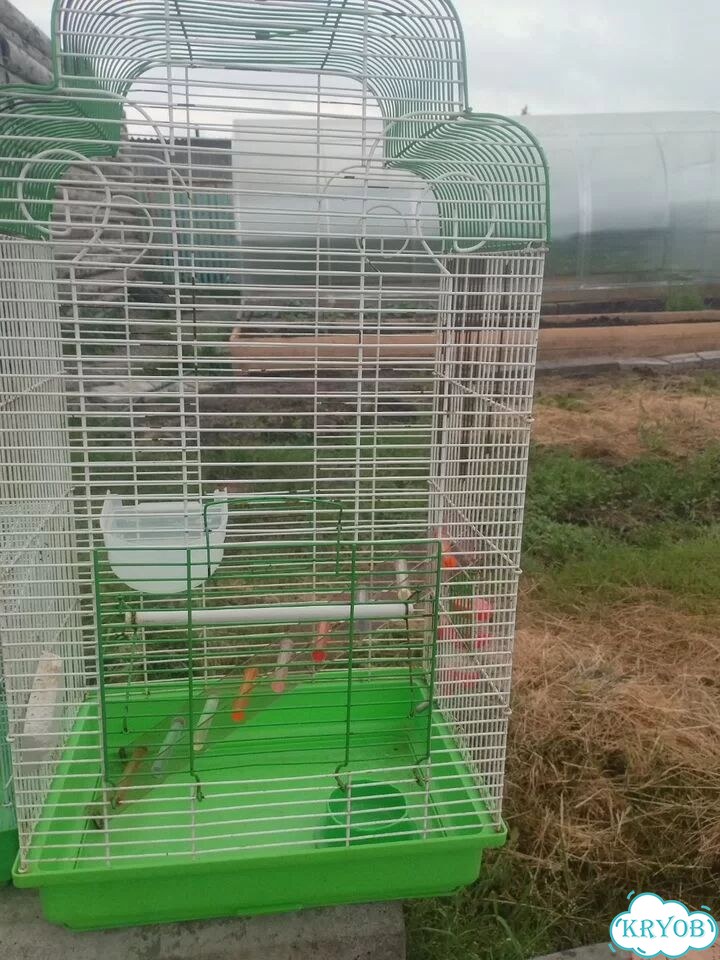 Клетка фото 1