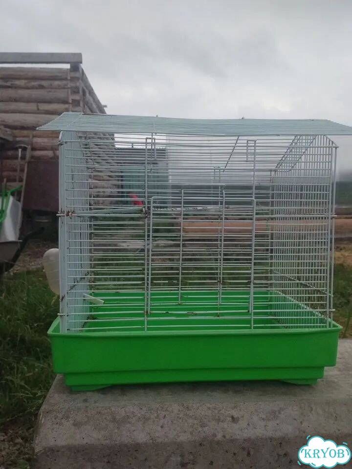 Клетка фото 3