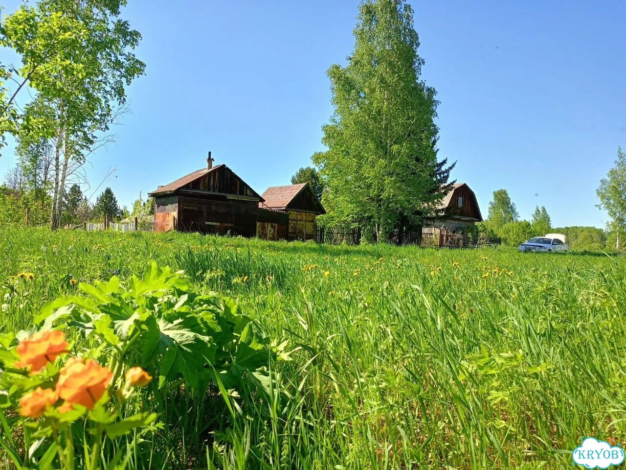 Дача 40 м² на участке 15 сот. фото 1