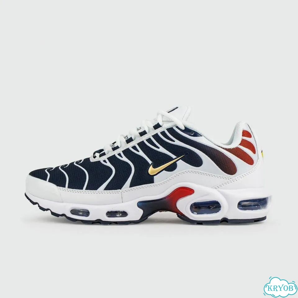Кроссовки Nike Air Max Plus Tn Blue Grey фото 1