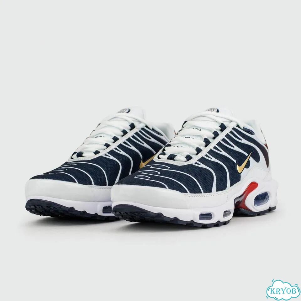 Кроссовки Nike Air Max Plus Tn Blue Grey фото 2