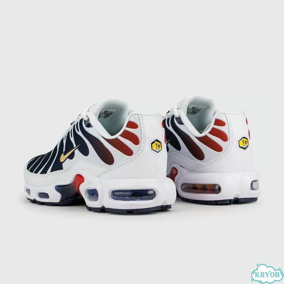 Кроссовки Nike Air Max Plus Tn Blue Grey фото 3
