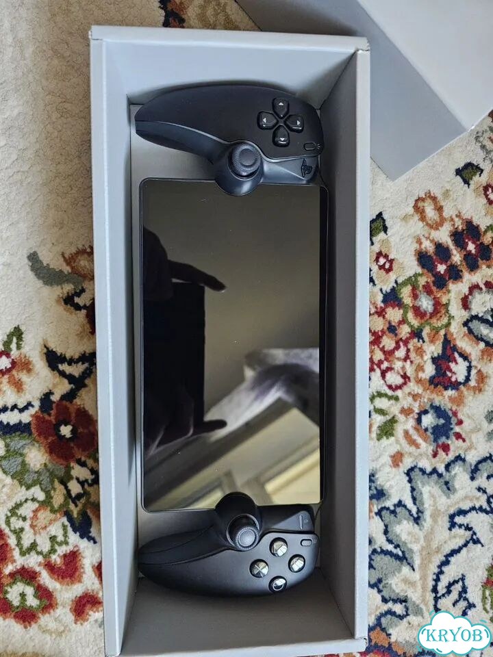 PlayStation Portal (черный) фото 7