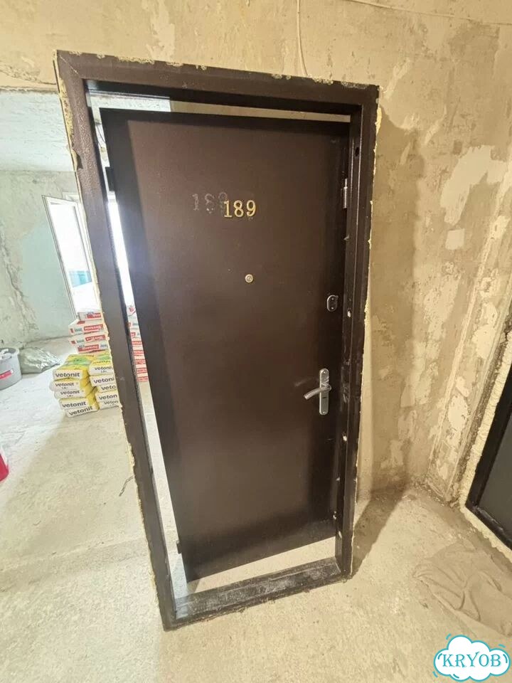 Дверь входная фото 1