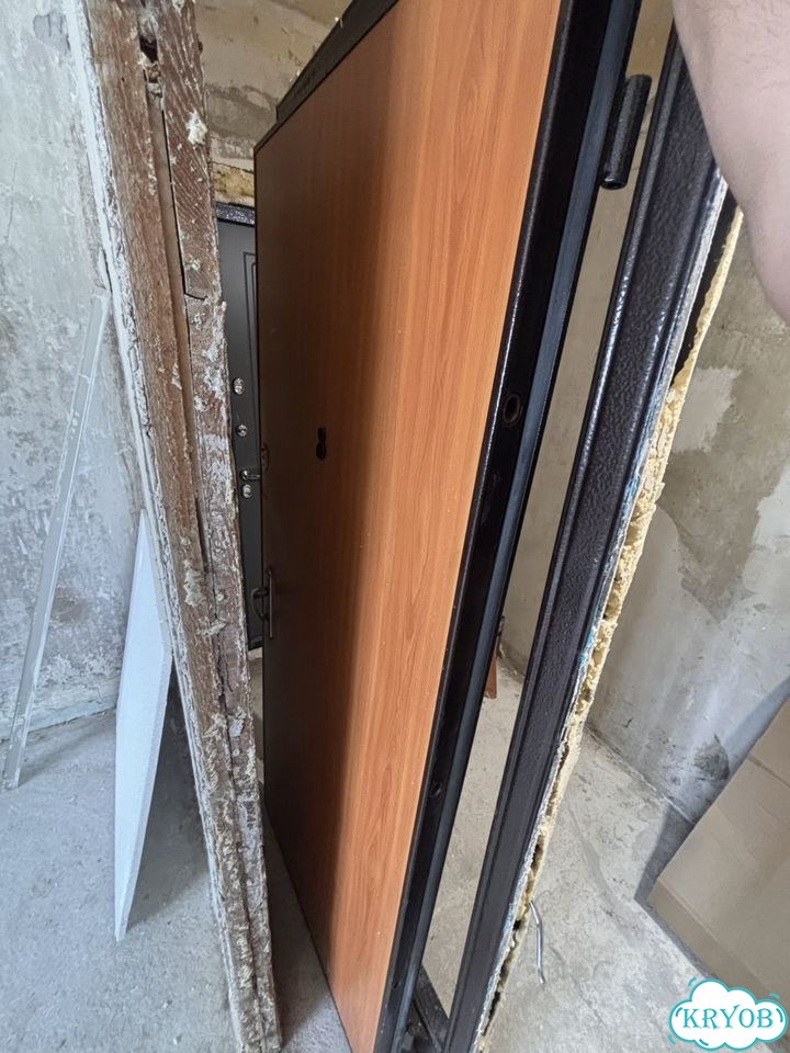 Дверь входная фото 2