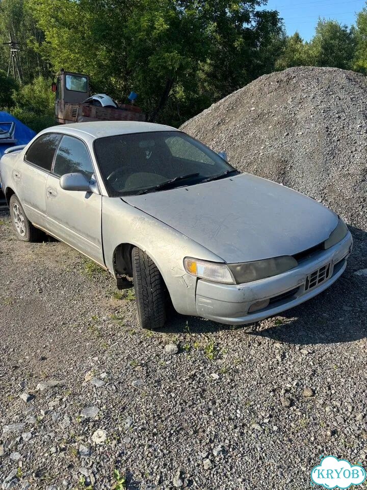 Тойота corolla ceres фото 2