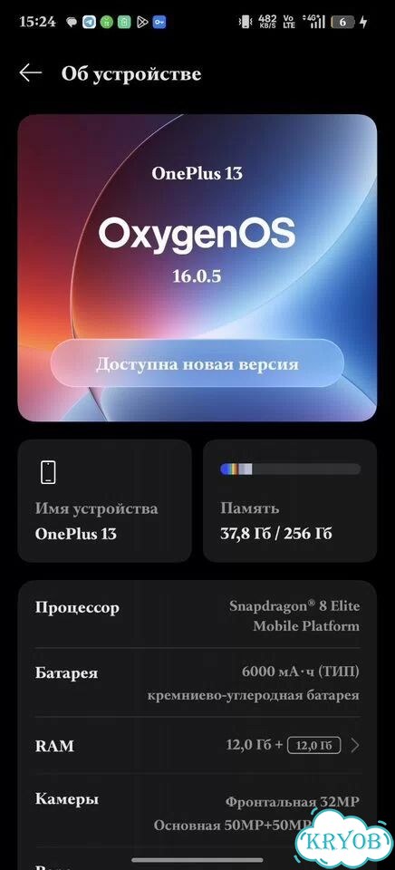 OnePlus 13, 24/1 ТБ, SIM + eSIM фото 1