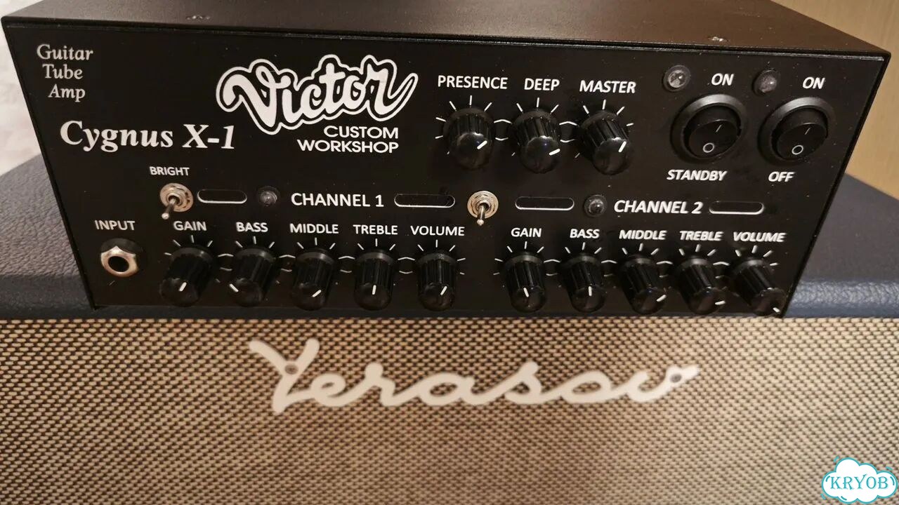 Усилитель гитарный ламповый голова Victor Custom фото 2