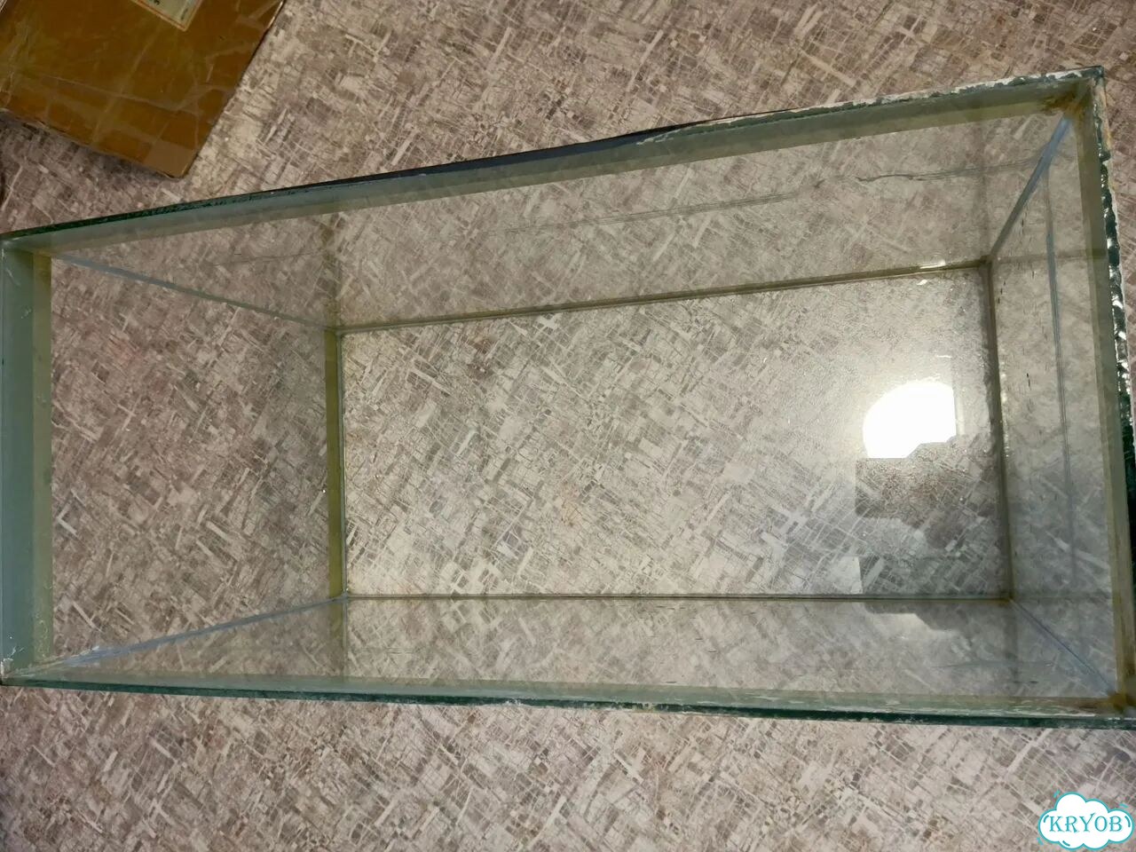 Аквариум фото 2