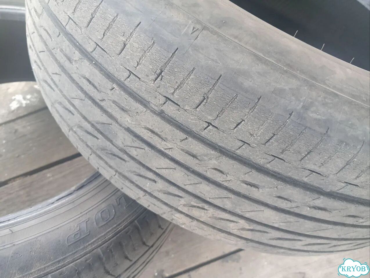 Dunlop Enasave EC203 205/55 R16 91V фото 7