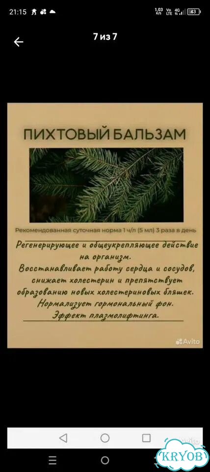 Пихтовый экстракт фото 4
