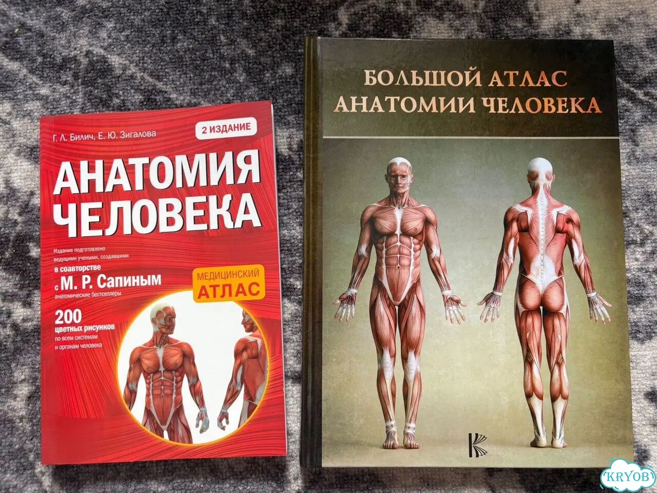 Атлас медицинский фото 1