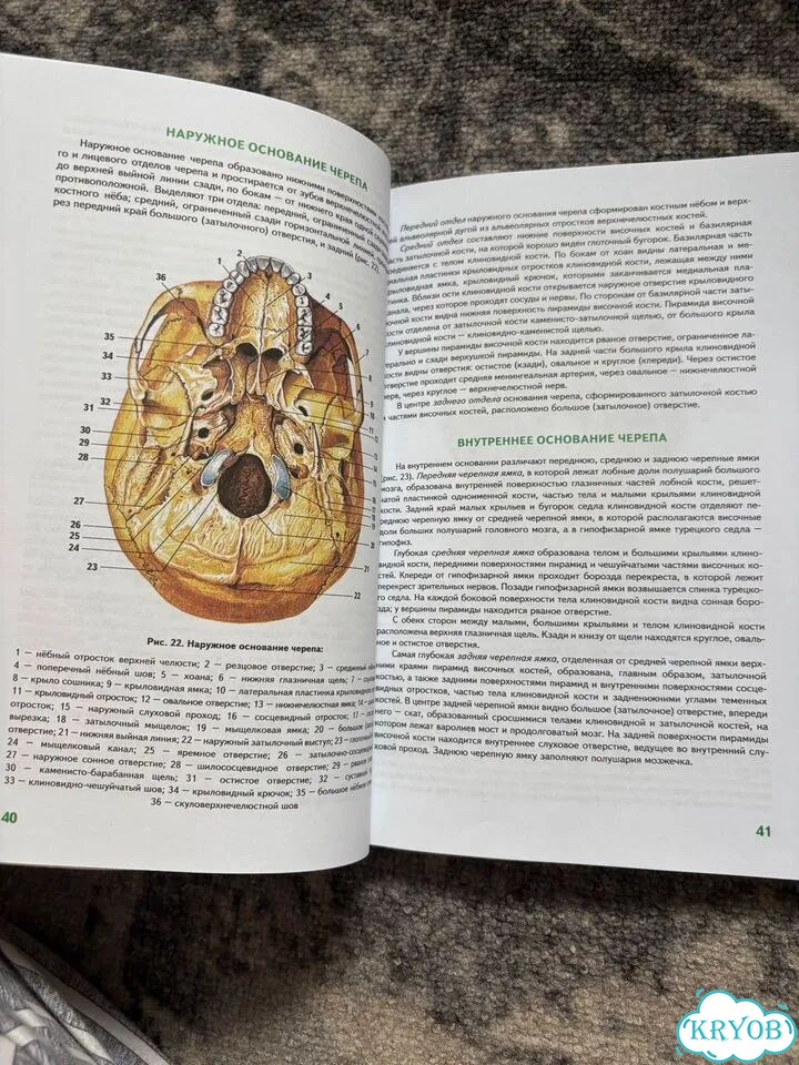 Атлас медицинский фото 5