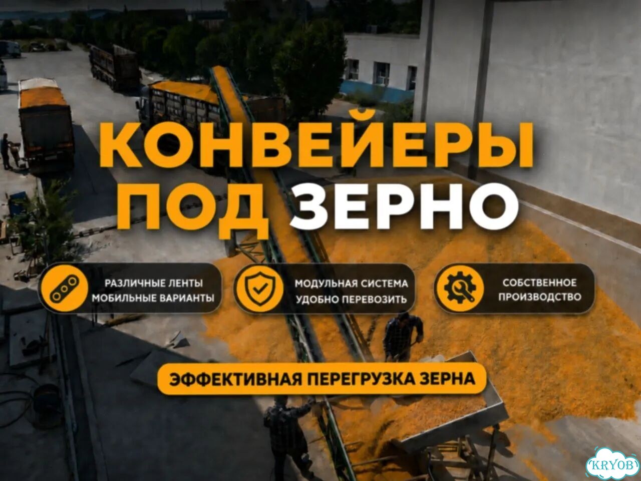 Конвейер ленточный стационарный. Кукуруза фото 1