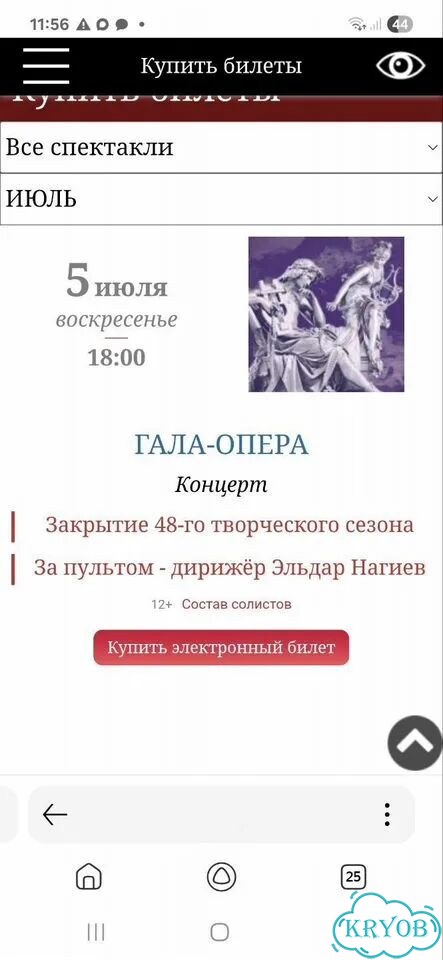 Билет в театр Оперы и Балета фото 1