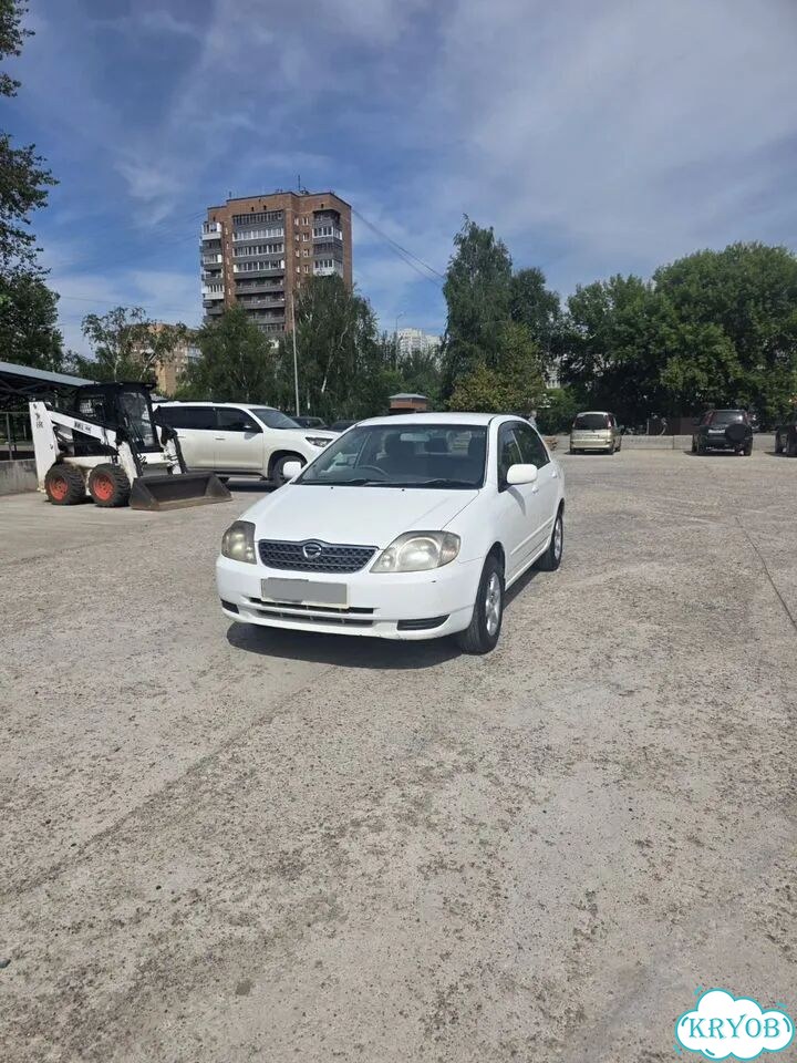Toyota Corolla 1.5 AT, 2001, 347 000 км фото 2
