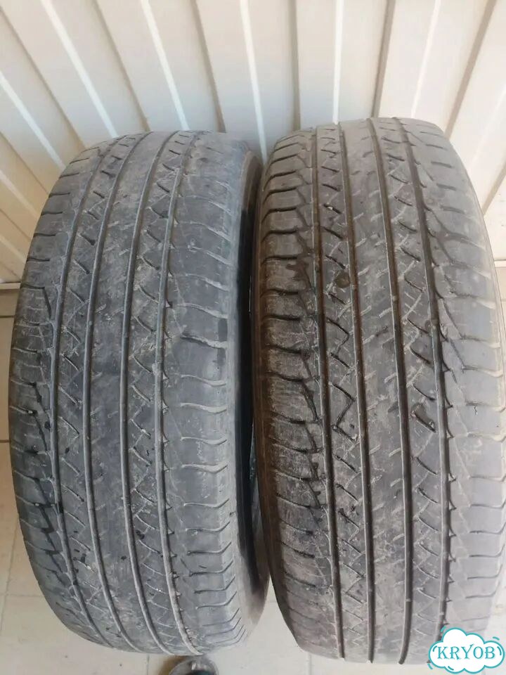MICHELIN Latitude Cross 225/65 R17 фото 1