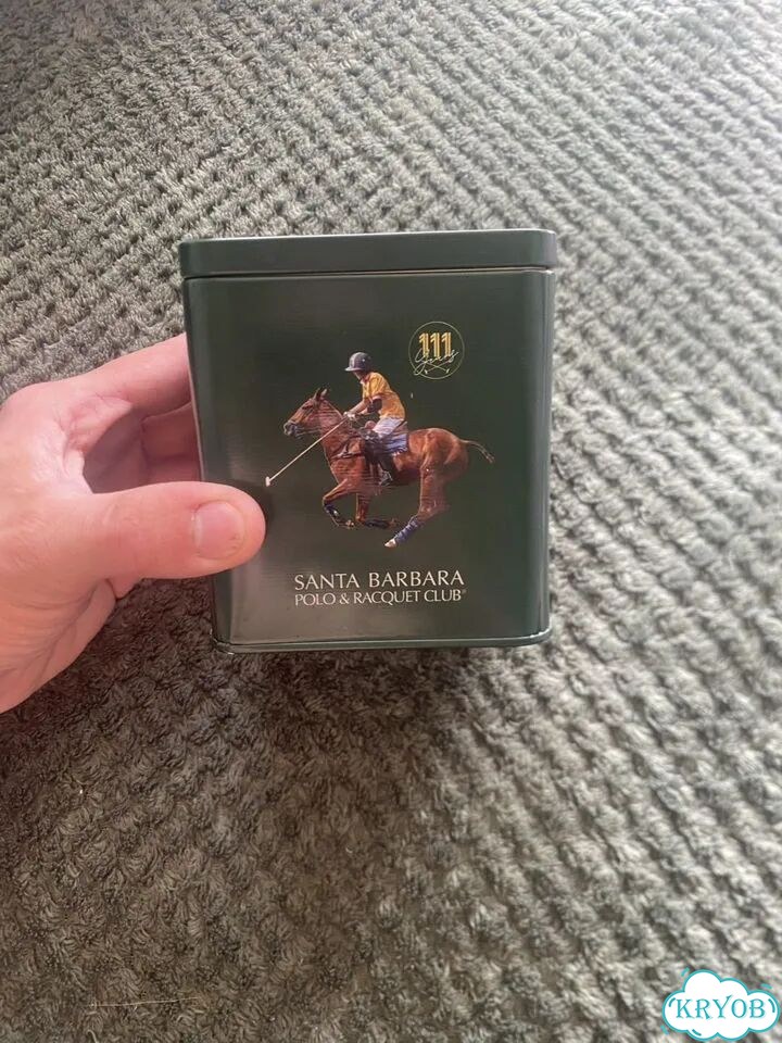 Часы наручные Santa Barbara Polo SB.4.1005-2 фото 4