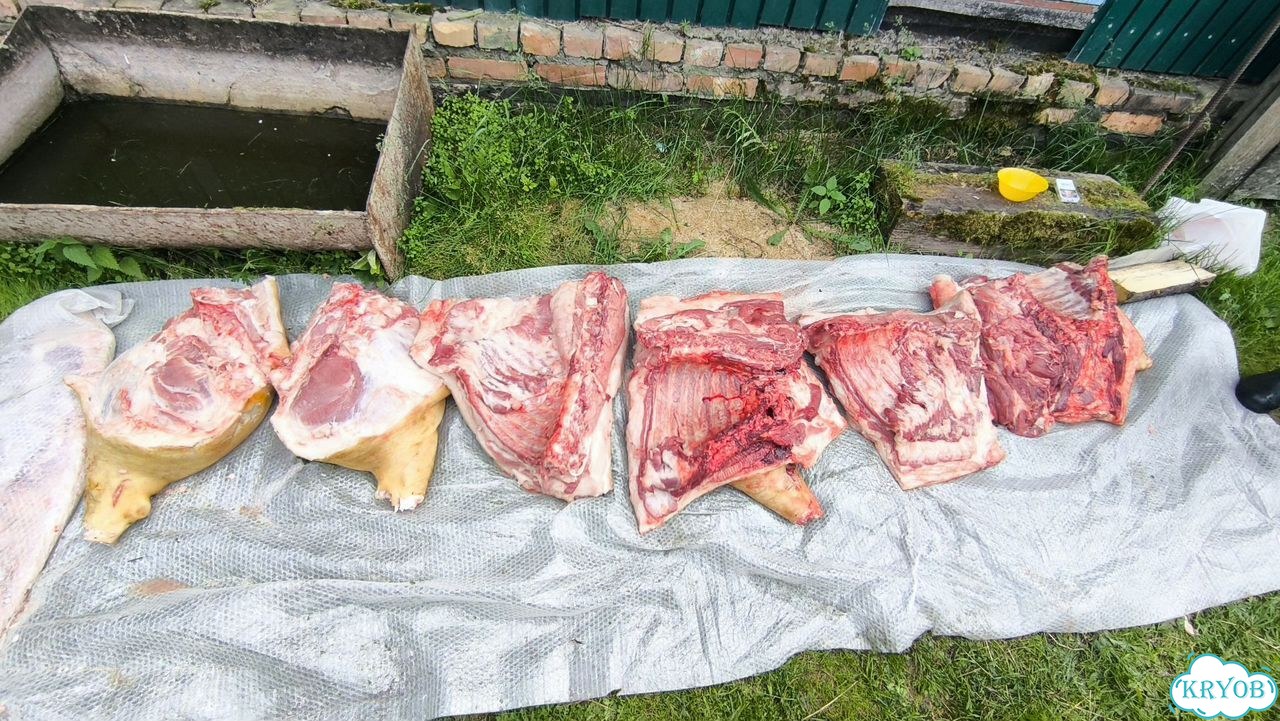 Продам мясо свинина фото 2