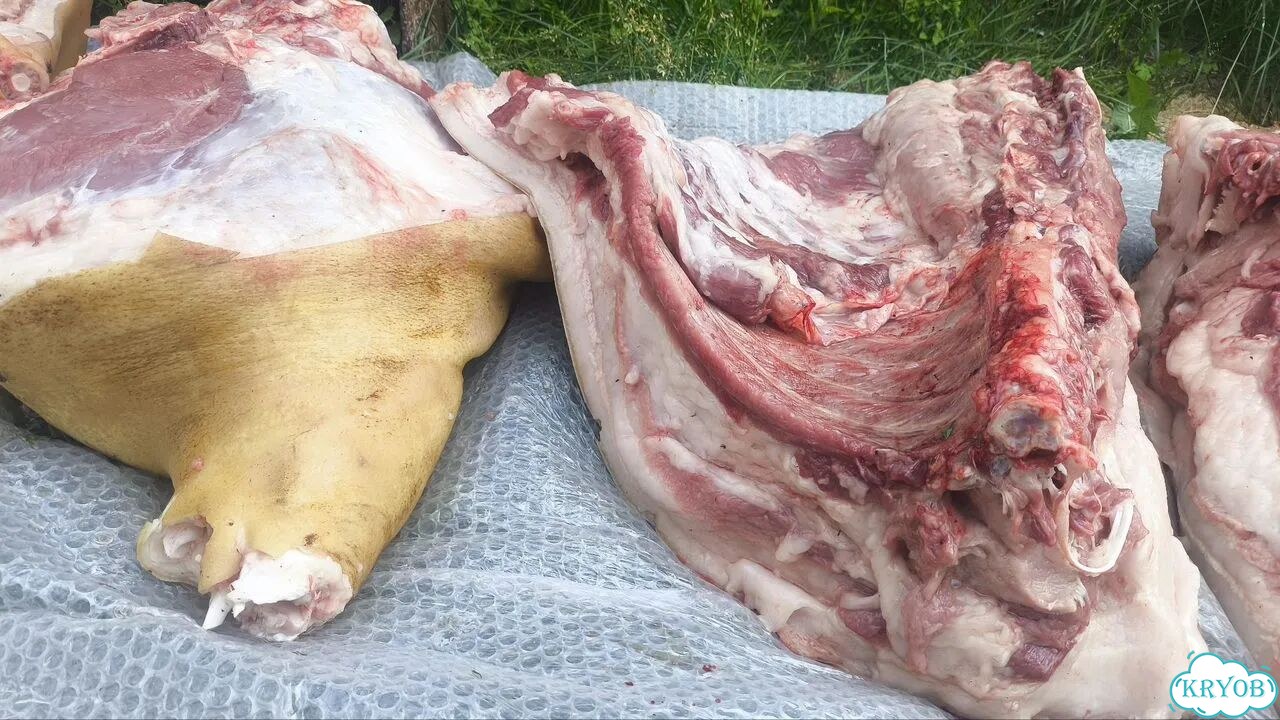 Продам мясо свинина фото 4