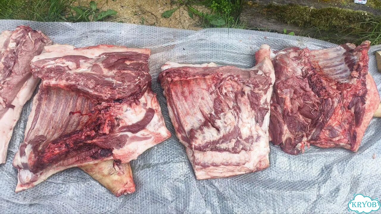 Продам мясо свинина фото 5