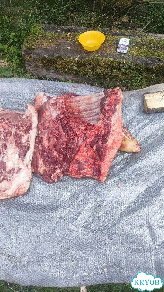 Продам мясо свинина фото 6