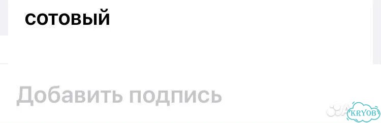 Быки живым весом продать фото 9