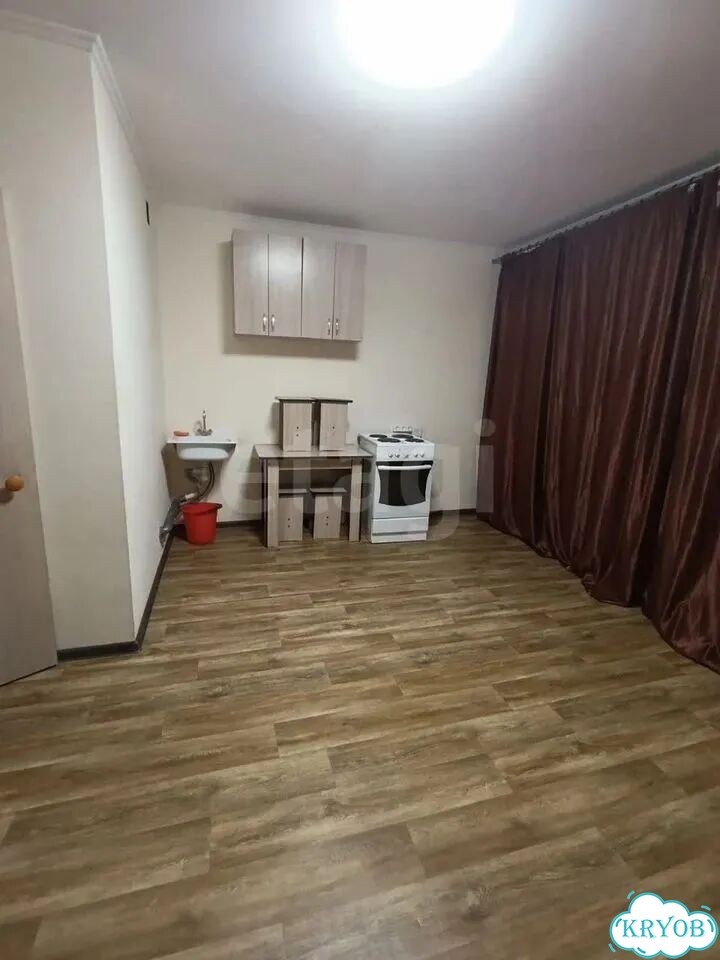 Квартира-студия, 24,1 м², 1/15 эт. фото 3