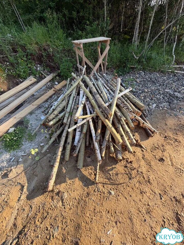 Отдам на дрова береза/липа фото 2