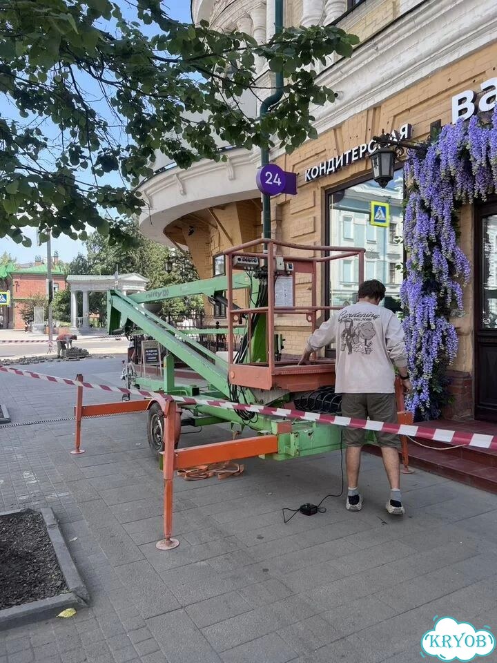 Аренда и услуги коленчатого подъёмника, 12.4 м фото 4
