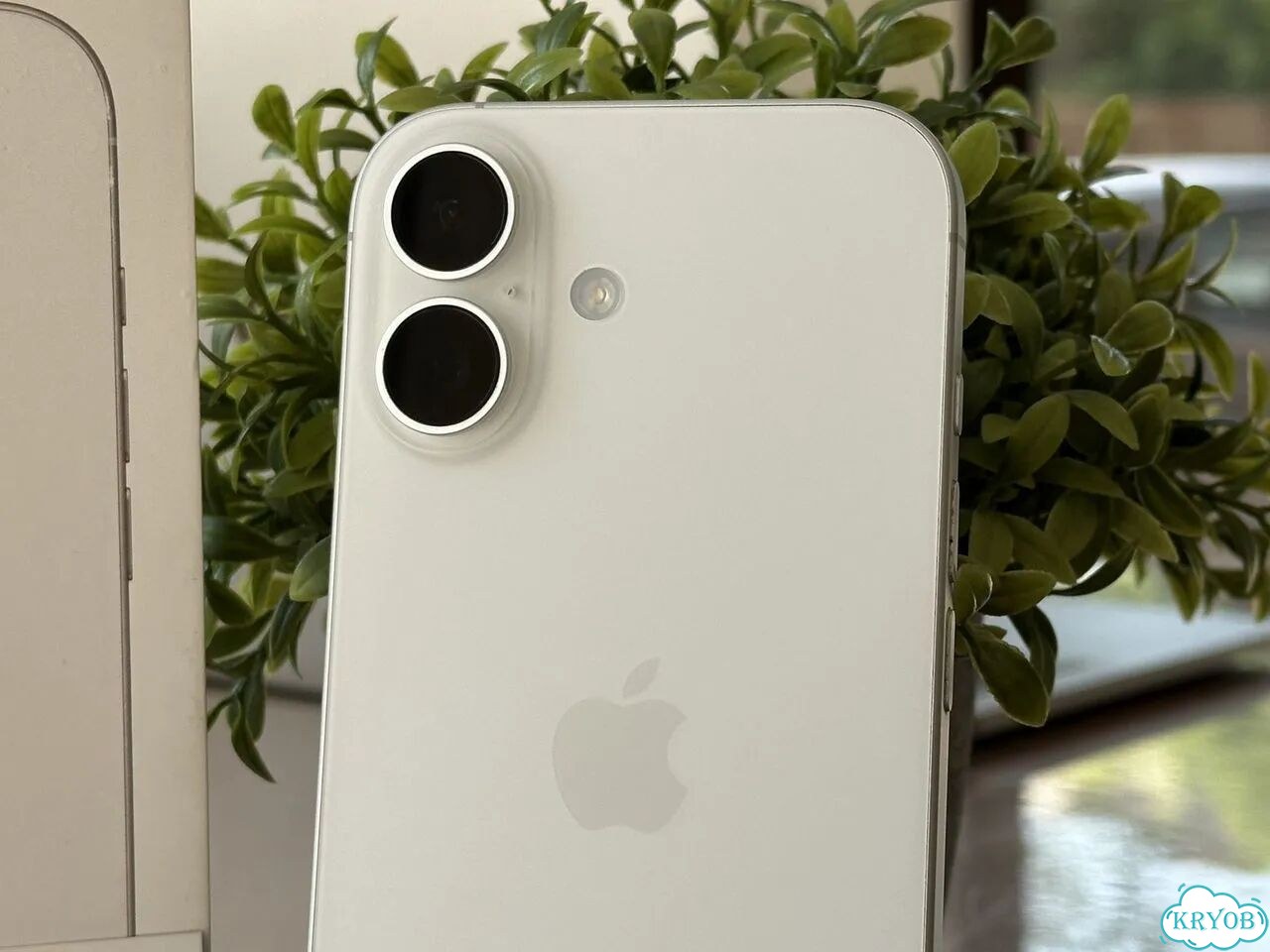iPhone 17, 256 ГБ, SIM + eSIM фото 2
