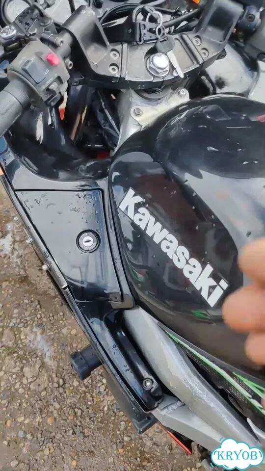 Kawasaki ZZR 400, 1996, 50 000 км фото 1