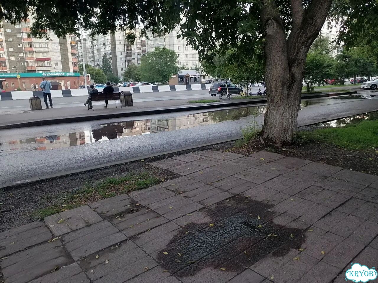 Чебурекми фото 2
