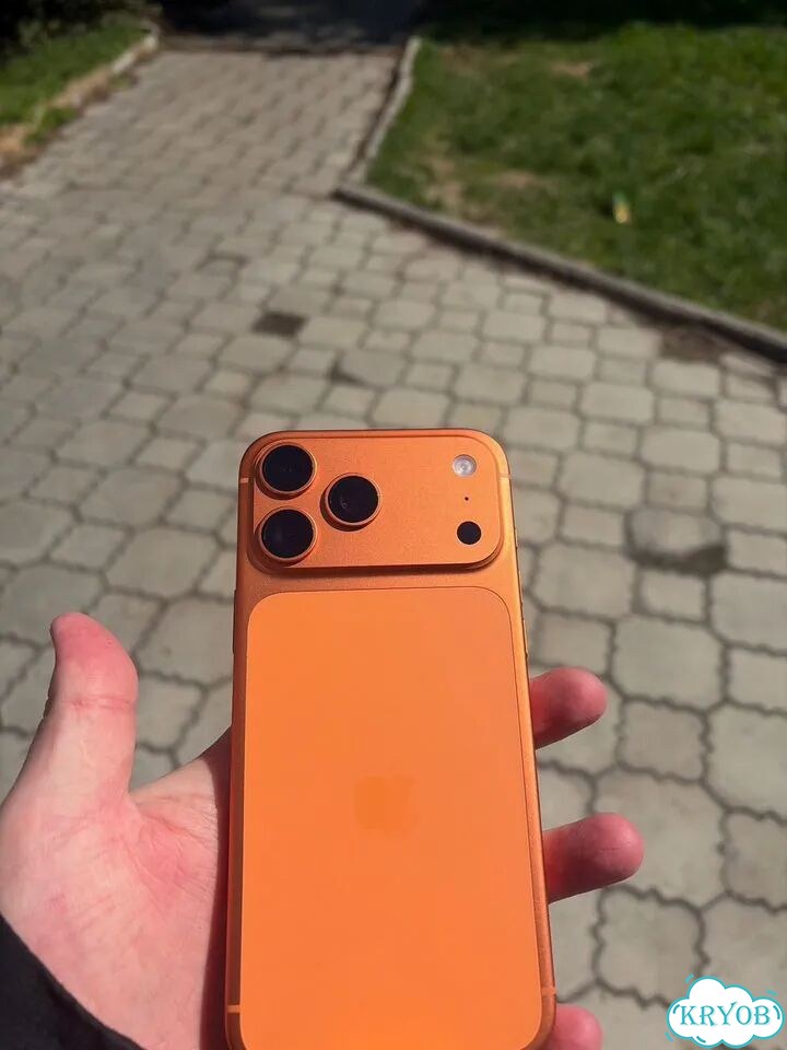 iPhone 17 Pro Max, 256 ГБ, SIM + eSIM фото 1