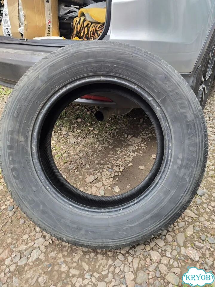 Bridgestone Ecopia EP850 225/65 R17 102H фото 1