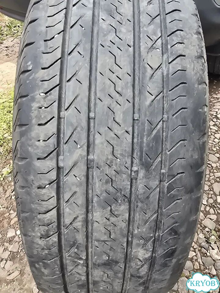 Bridgestone Ecopia EP850 225/65 R17 102H фото 2