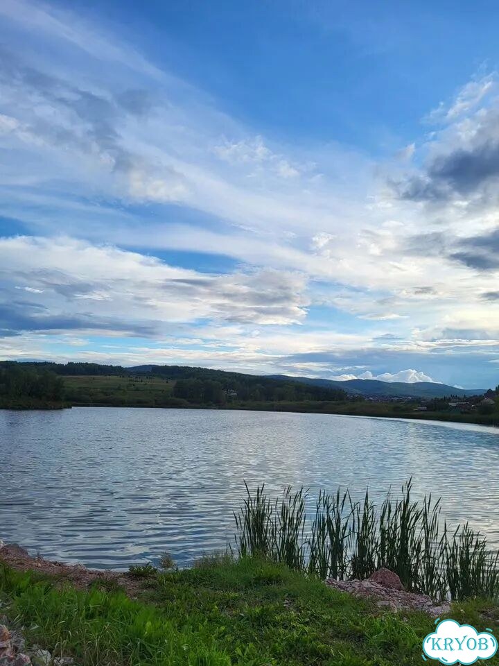 Участок 9 сот. (СНТ, ДНП) фото 6