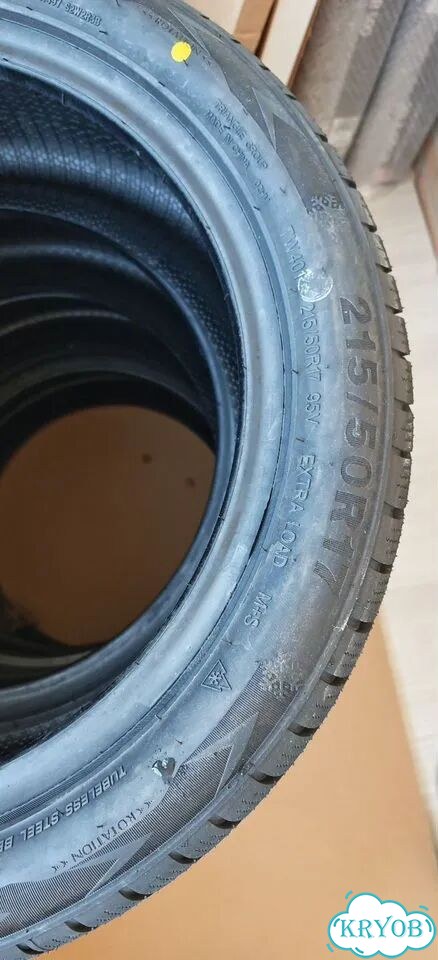 Triangle WinterX TW401 215/50 R17 95V фото 3